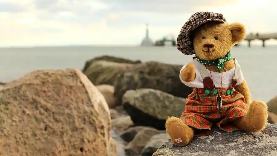 会说话的玩具熊