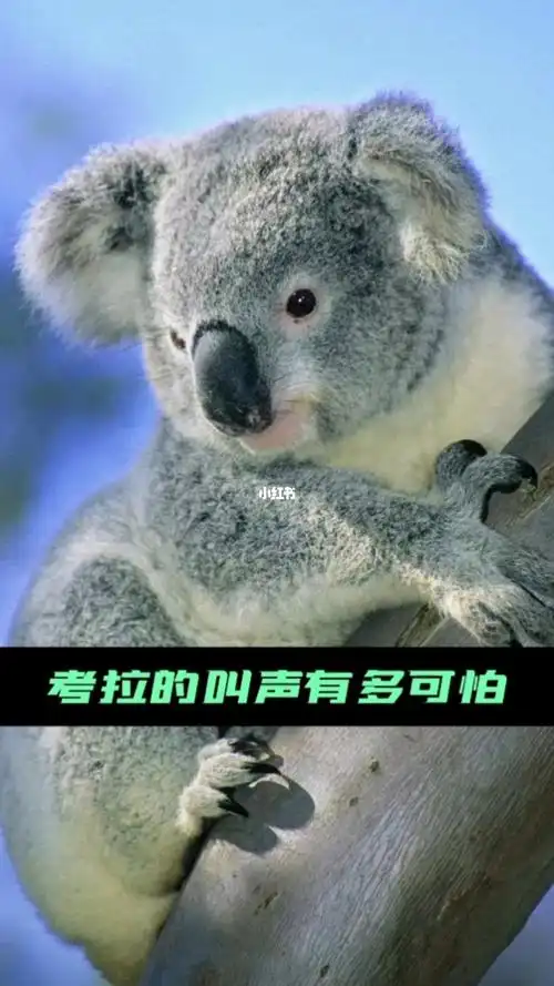 动物 #star #趣闻 #涨知识 #科普