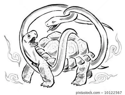 玄武怎么画简笔画画法 简笔画图片大全-普车都