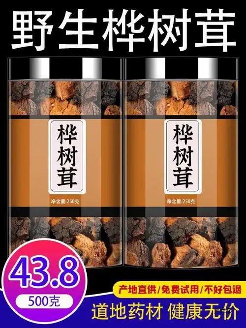 桦树茸俄罗斯进口旗舰店的功效黑金颗粒长白山野生白桦树茸茶