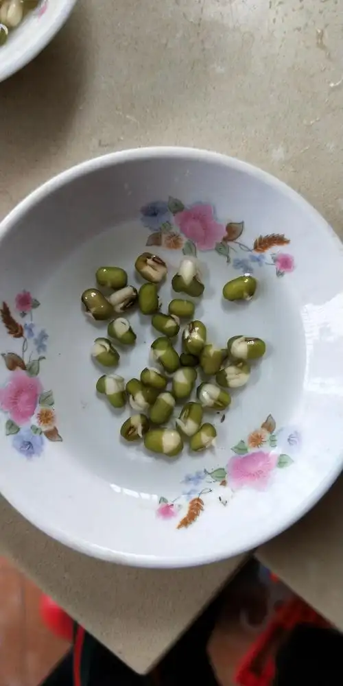 艰难的水培之路 - 美篇