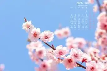 【好看的壁纸】电脑桌面壁纸图片_高清手机壁纸-qq壁纸网