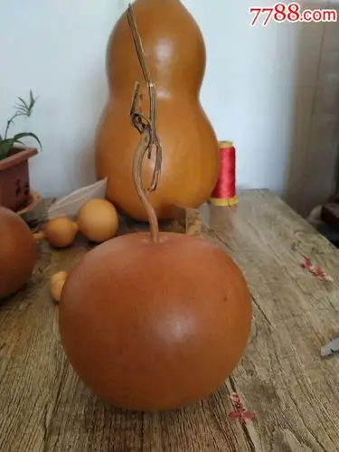 老苹果葫芦.