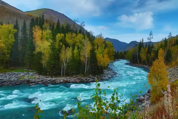 新疆喀纳斯风景图片新疆喀纳斯