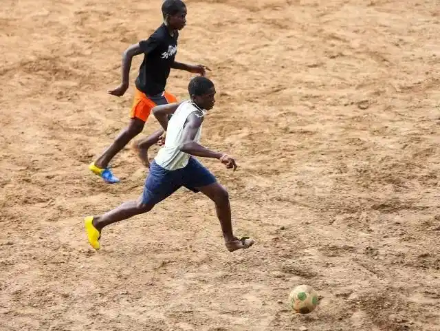 塞拉利昂埃博拉疫区的足球娃维多利亚大瀑布雨中准备起飞的火烈鸟