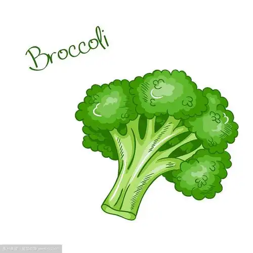 孤立卡通新鲜手绘西兰花