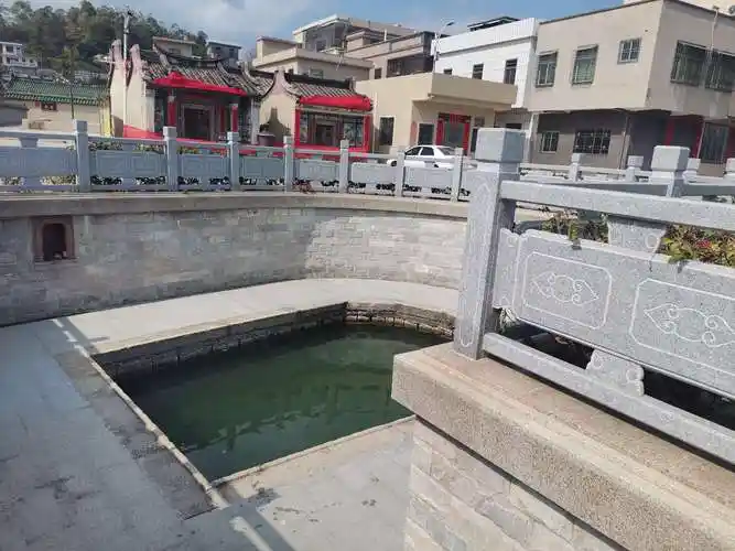 汕尾城区:石洲村"格桑花观赏园"