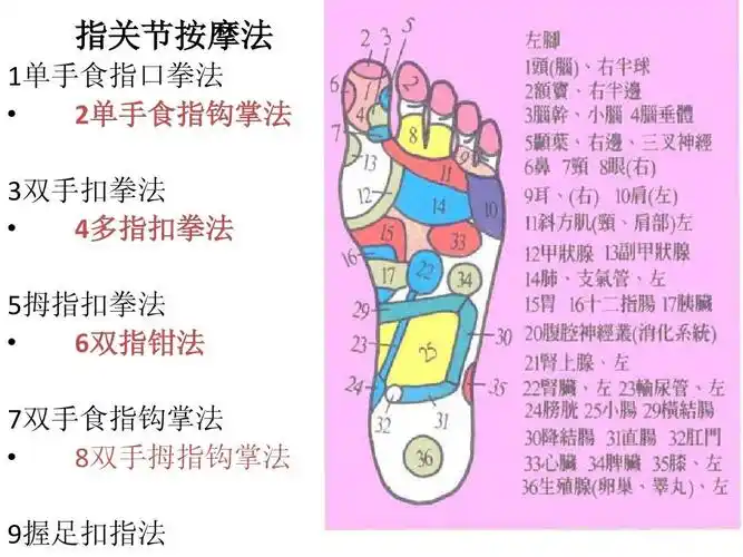 足部按摩手法 中药学表格 手把手教 针灸穴位挂图 足底按摩穴位图