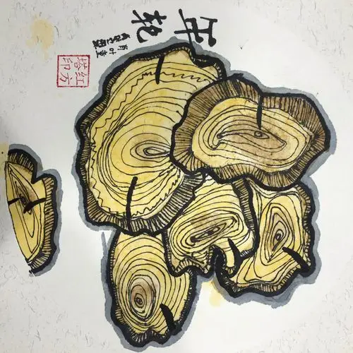 线描作品——《年轮》
