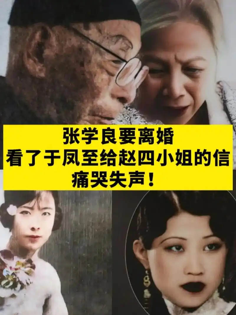 民国爱情 #民国往事 #于凤至 #张学良 #赵一荻 - 抖音