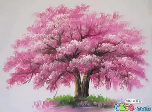 儿童樱花树的简笔画