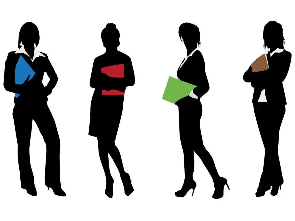 年轻的商界女士剪影