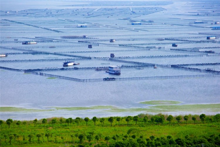 打造池塘养殖循环水示范工程巴城镇树立大闸蟹产业新标杆