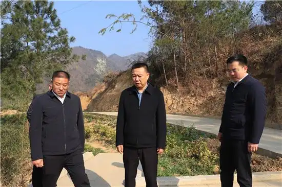 杜非督导调研茶叶产业发展,违法占用林地整改工作-旺苍县人民政府