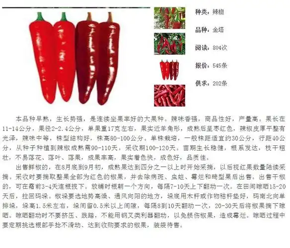 供应大量优质批发市场新鲜干辣椒 金塔椒