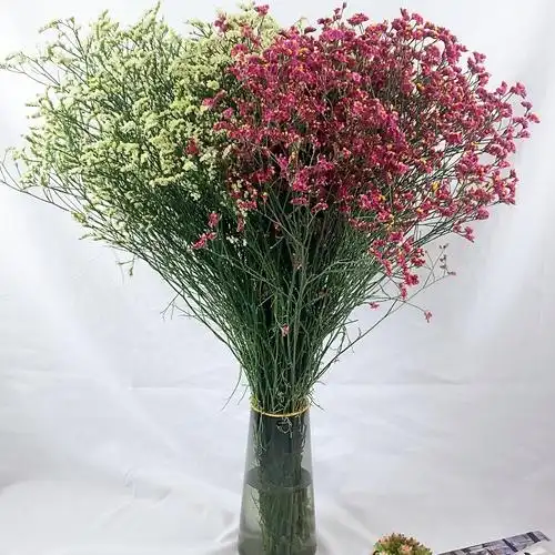 昆明情人草水晶新鲜云南基地地直发花花束搭配鲜花速递同城