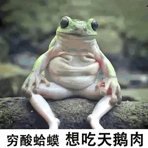 萌宠 小天鹅癞蛤蟆 癞蛤蟆想吃天鹅肉 穷酸 搞怪 逗