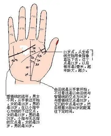 要点:因为看流年主要看左手,所以以下我是以左手为主,右手也