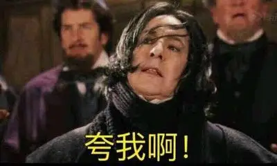 哈利波特霍格沃茨魔法世界巫师表情包 斯内普教授