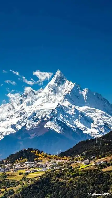 452_798竖版 竖屏