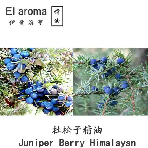 喜马拉雅杜松子精油juniperberryhimalayan杜松莓浆果10ml起订