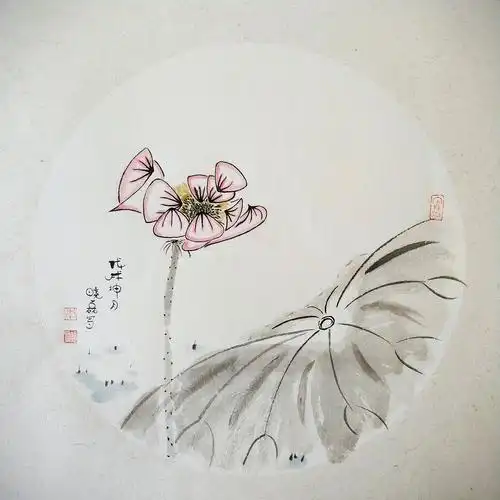 国画写意荷花团扇小品