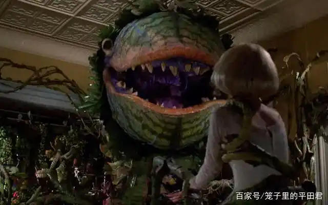 食人花是究竟是植物还是动物?它真的会吃人吗?