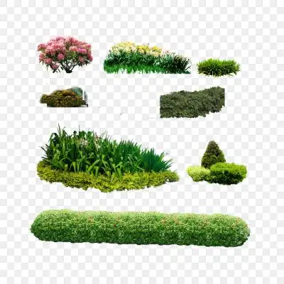 植物平面植物花草景观灌木平面树