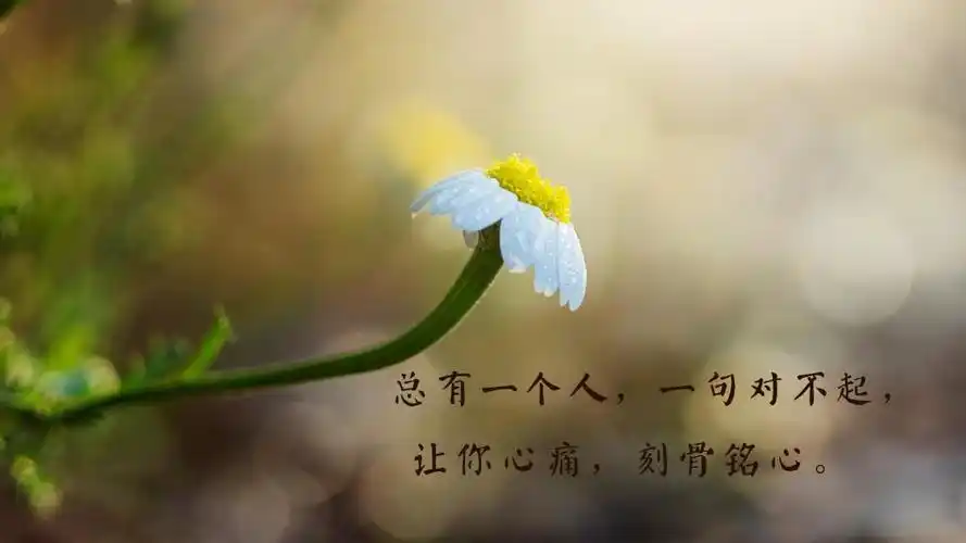 心情伤感的朋友圈配图