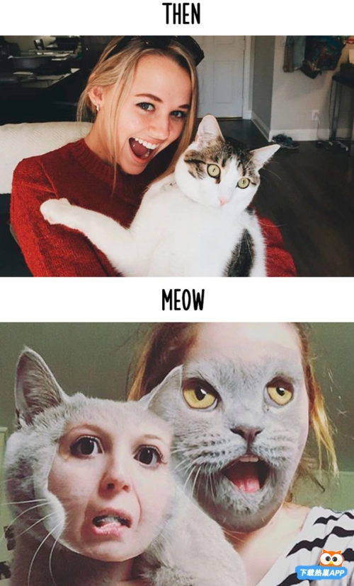 看完这15张图,你就会发现科技带给猫咪的影响并不比人类小