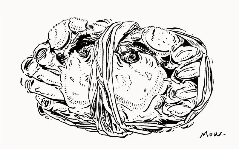 "mow的生活速写"_哔哩哔哩_bilibili