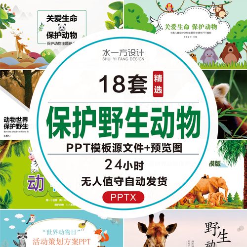 保护野生动物班会课件ppt模板珍稀世界动物保护日宣传关爱生命ppt