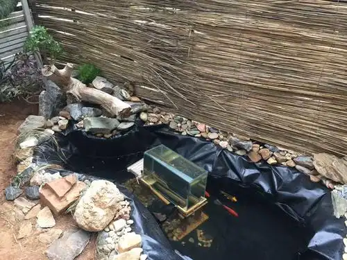 自建鱼池,在农村花最少的钱建最实用的鱼池