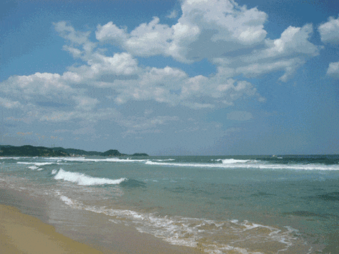 秋天的梭子蟹,皮皮虾,海螺和八爪鱼……鲜活的滋味,绝对不会辜负味蕾.