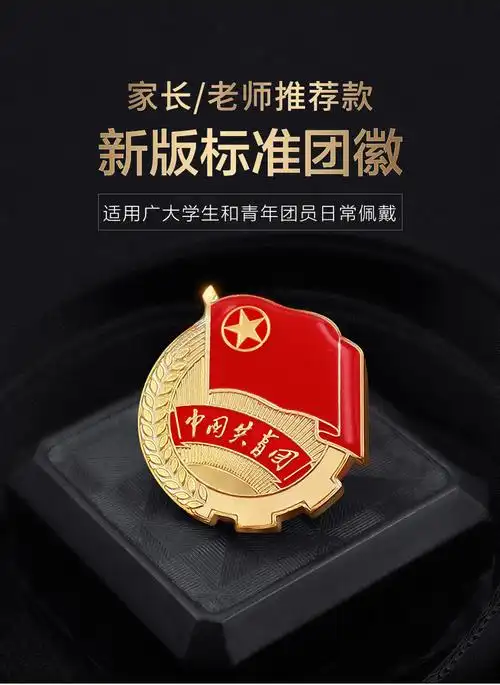 标准型团徽新版学生团员胸章团徽共青团大磁铁别针蝴蝶扣 2.