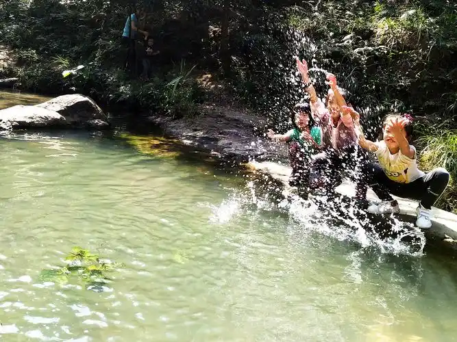 广东中山适合带孩子踏青玩水的3条小溪,人少好走又好玩,很安全