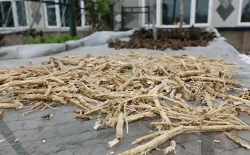 回顾药店老板晒中药被偷偷药贼泡酒饮用后身亡厦门法院判了