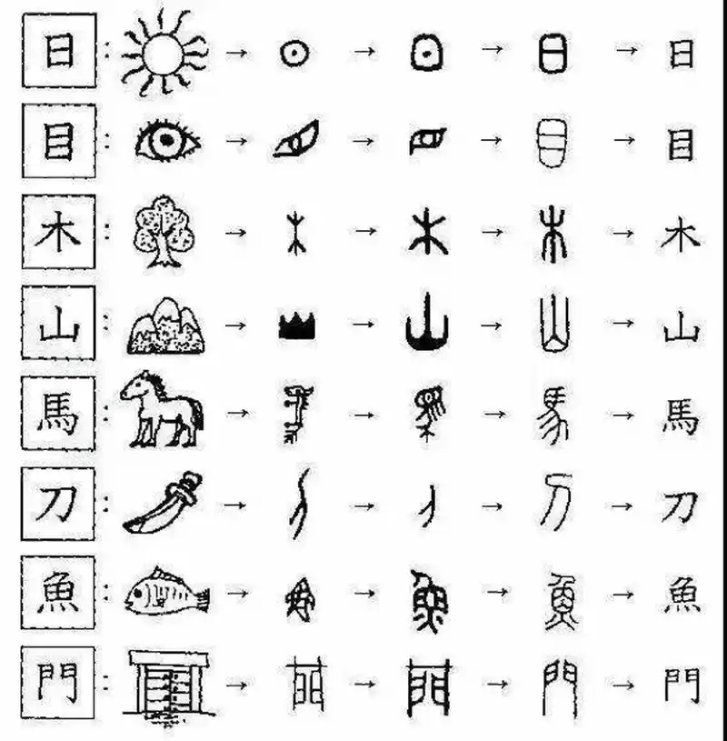 一年级常考象形字 【唠叨两句】特别是马的象形字,孩子容易错认成目