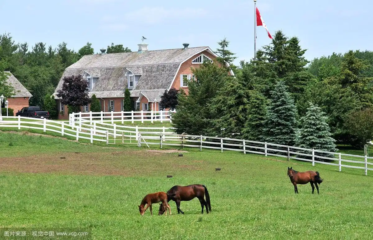 加拿大牧场