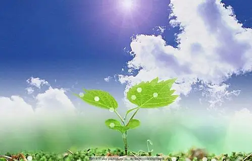 早产儿日 平煤总医院新生儿室一直坚持早产儿所需至上的服务理念