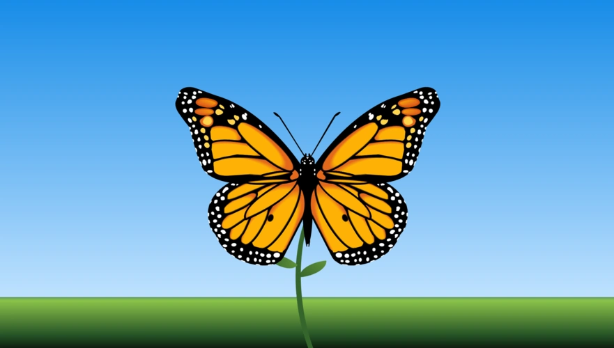 纯css3卡通蝴蝶动画场景特效代码下载