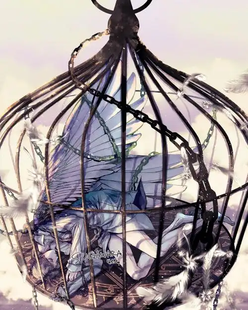 p站美图推荐——笼中鸟特辑-动漫之家新闻站