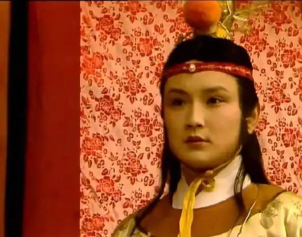 浅论《红楼梦》中贾宝玉的形象