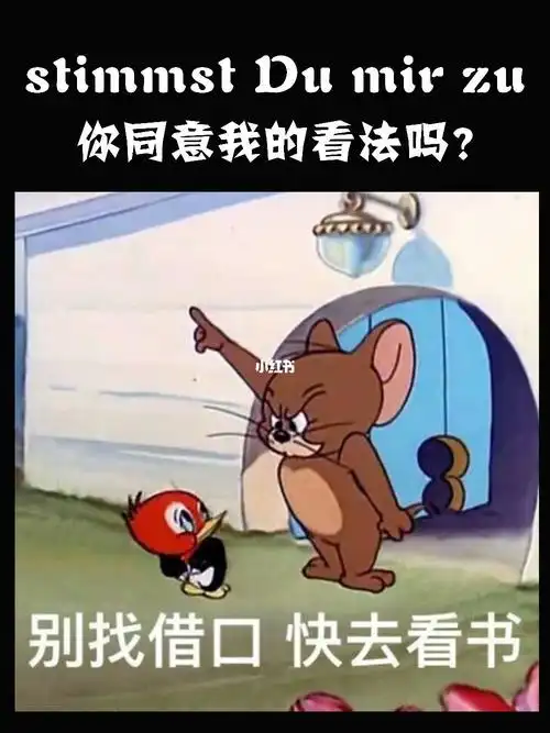 如何用德语询问别人的意见