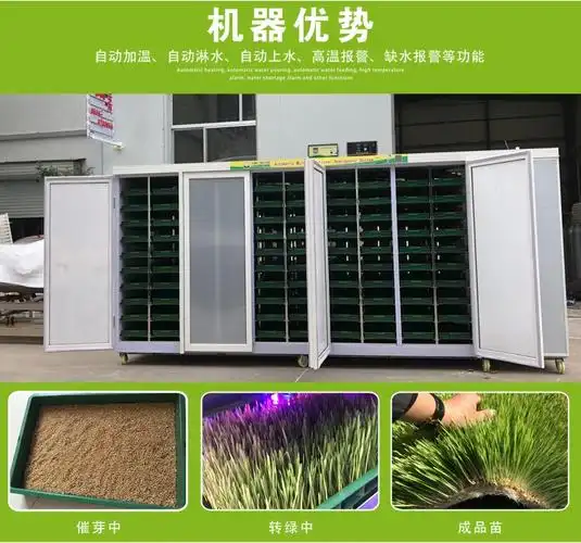 全自动芽苗机 大麦发芽机 种子催芽机 智能化发芽机