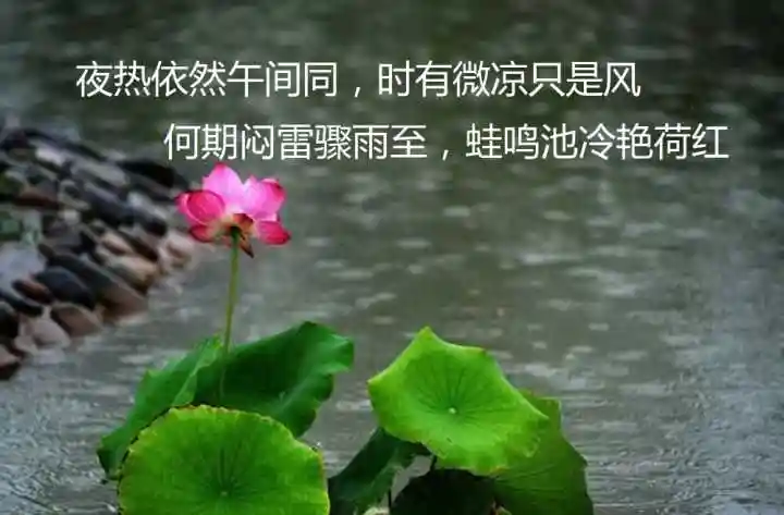 在这炎炎夏日里,到哪儿去寻找凉意?