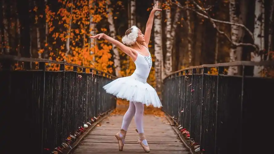 首页 可爱 儿童女孩,芭蕾舞女演员,木桥,树,秋天 壁纸 儿童女孩,芭蕾