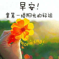 原创2021最新最全的早上好问候动态图带字特别漂亮的早安问候图片带字