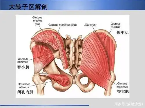 股骨大转子疼痛综合征mr特征