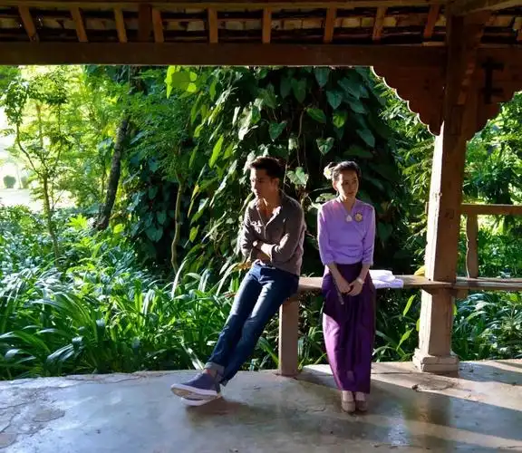 橄榄坝傣族园橄榄坝位于景洪东南约30公里处的勐罕镇,橄榄坝意为"宫廷